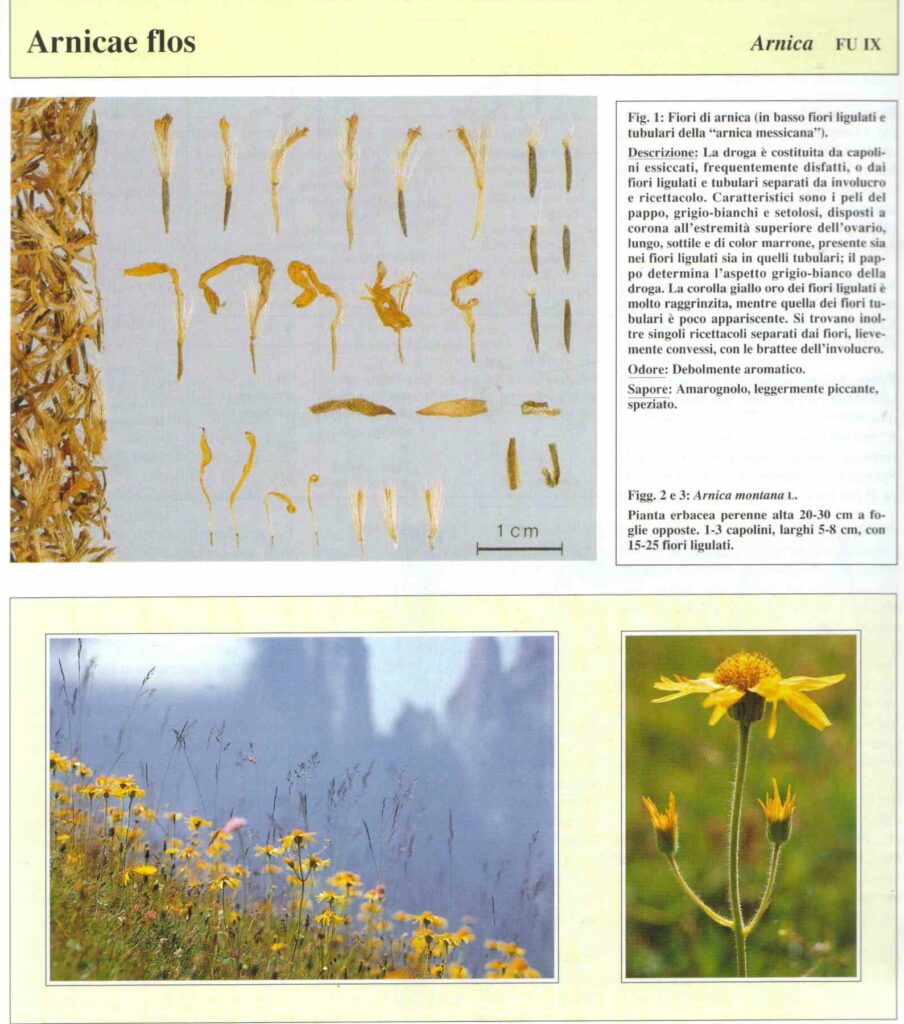 Dolore - Gel di arnica - Ricetta