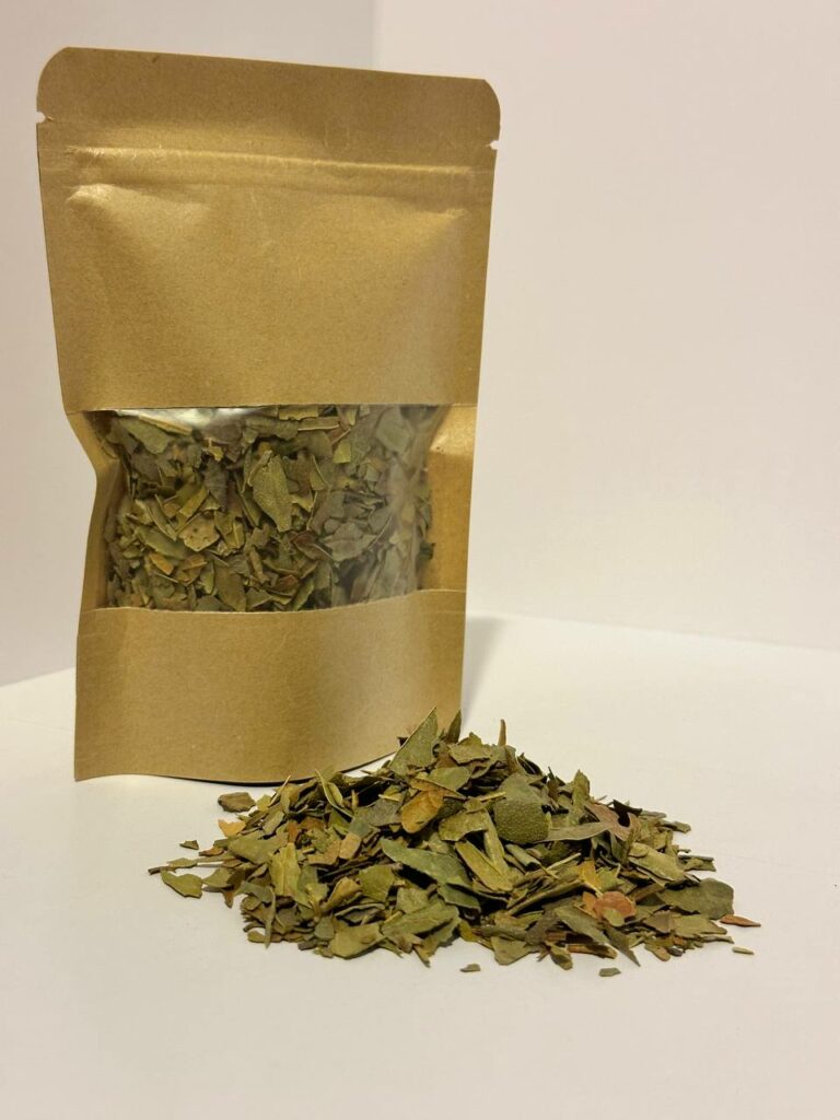boldo foglie busta per infusi depurativi dell'intestino
